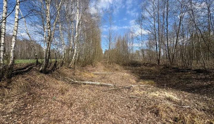 Działka rolna Komory, bez nazwy