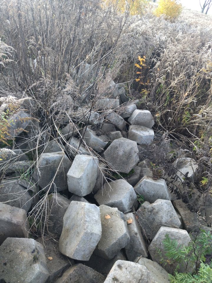 Działka rolno-budowlana Kiełmina. Zdjęcie 12