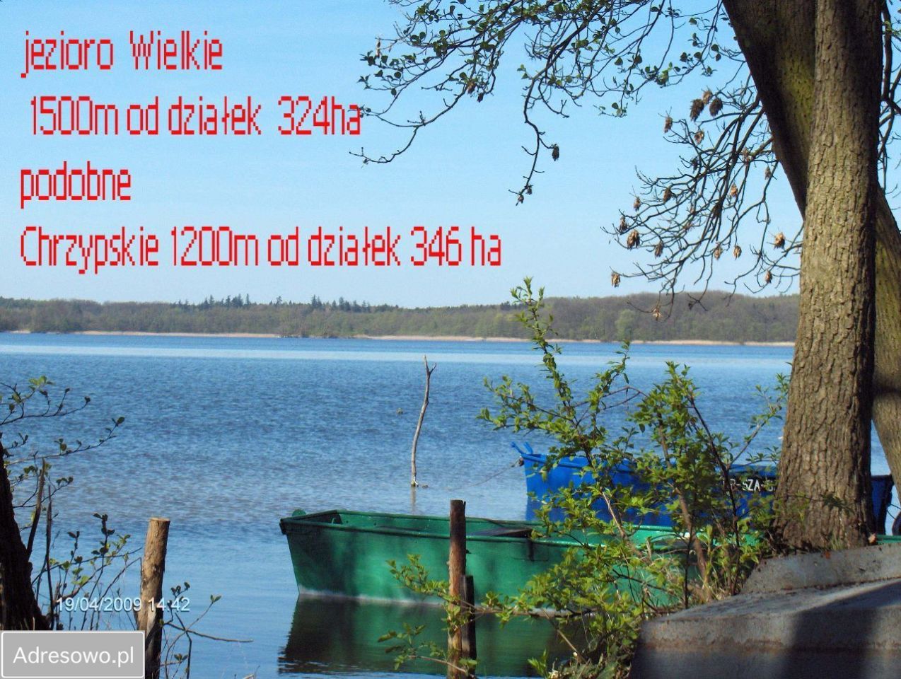 Działka rolna Chrzypsko Małe. Zdjęcie 13