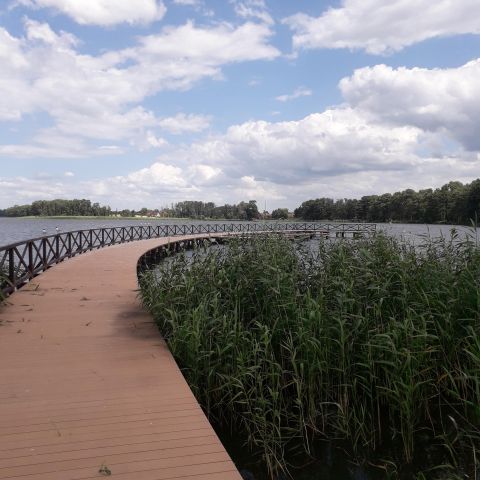 Działka rekreacyjna Dobiegniew, ul. Wodna. Zdjęcie 1