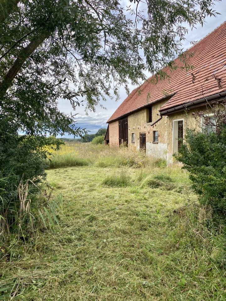 dom wolnostojący Wysokie. Zdjęcie 6