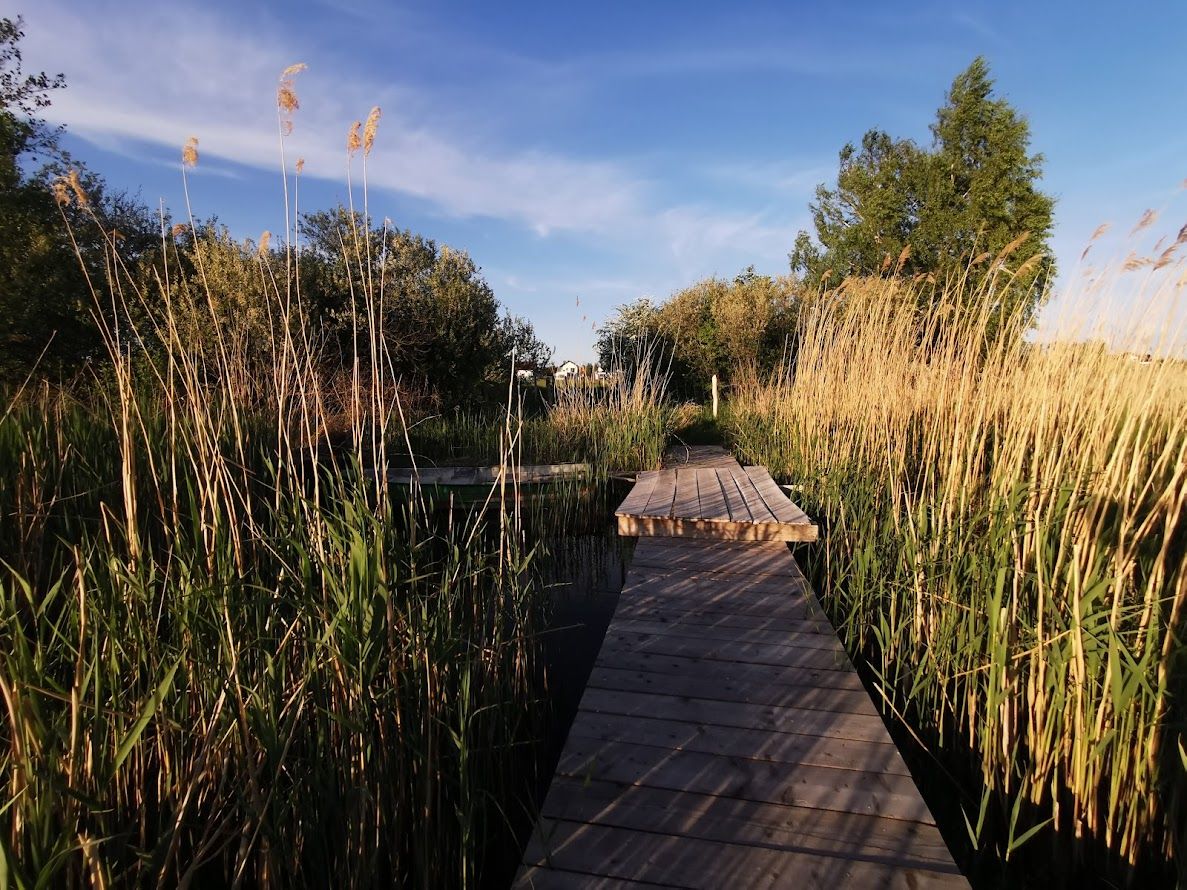 Działka budowlana Rogowo, ul. Topolowa. Zdjęcie 16