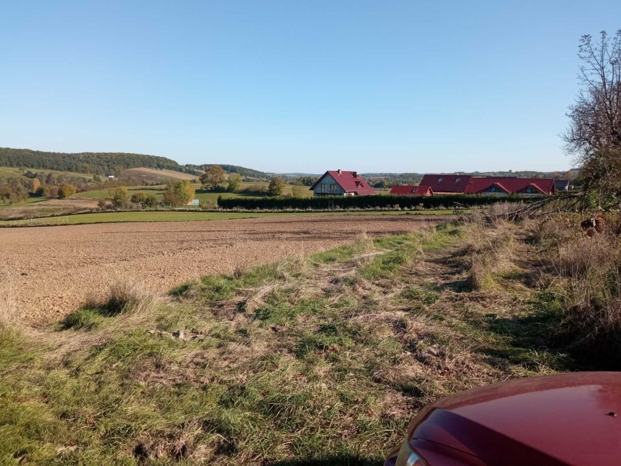 Działka rolna Minoga. Zdjęcie 4