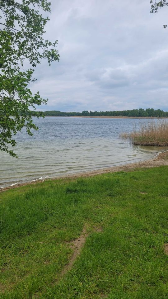 Działka rekreacyjna Miłachówek. Zdjęcie 4