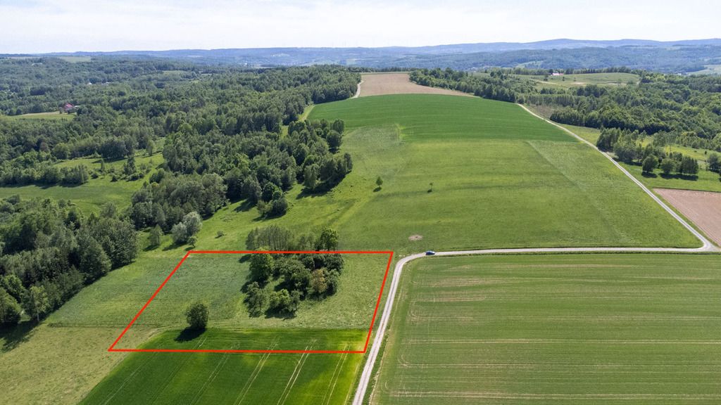 Działka Nowy Borek. Zdjęcie 4