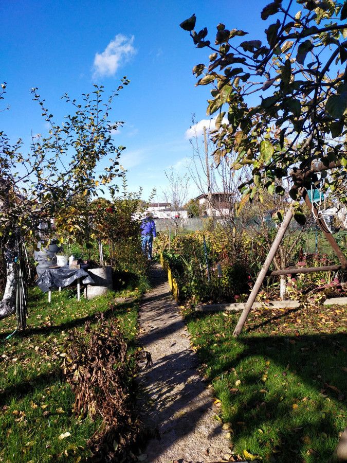 Działka rod Gdańsk Olszynka, ul. Goździkowa. Zdjęcie 10