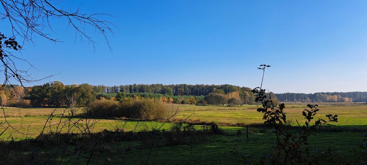Działka budowlana Lutol Mokry. Zdjęcie 5