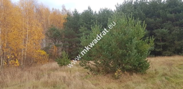 Działka budowlana Holendry Baranowskie. Zdjęcie 4