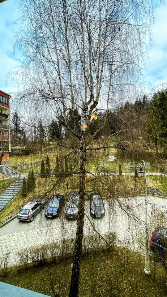 Mieszkanie 3-pokojowe Krynica-Zdrój. Zdjęcie 11