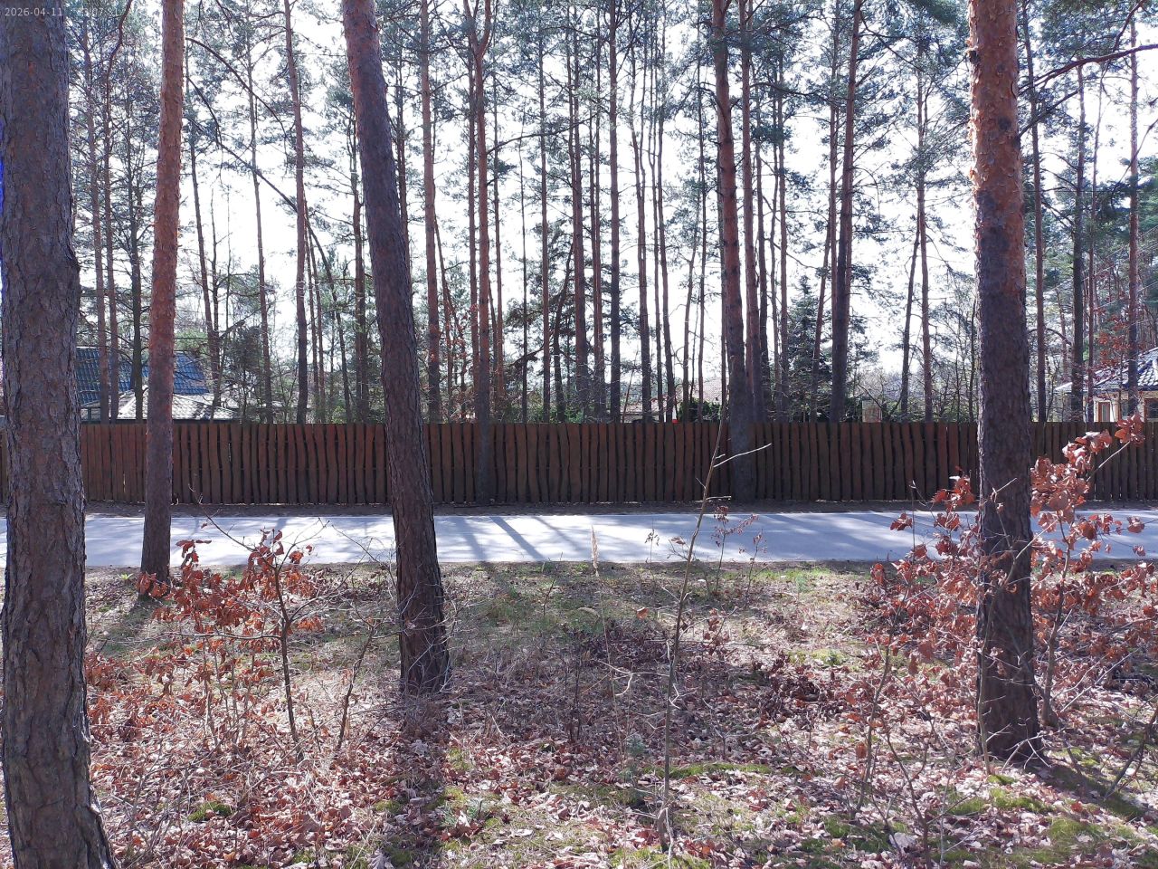 Działka budowlana Marynino, Sosnowa. Zdjęcie 15