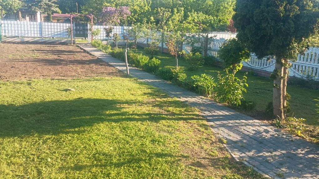 Działka rod Gniezno, ul. Górna. Zdjęcie 4