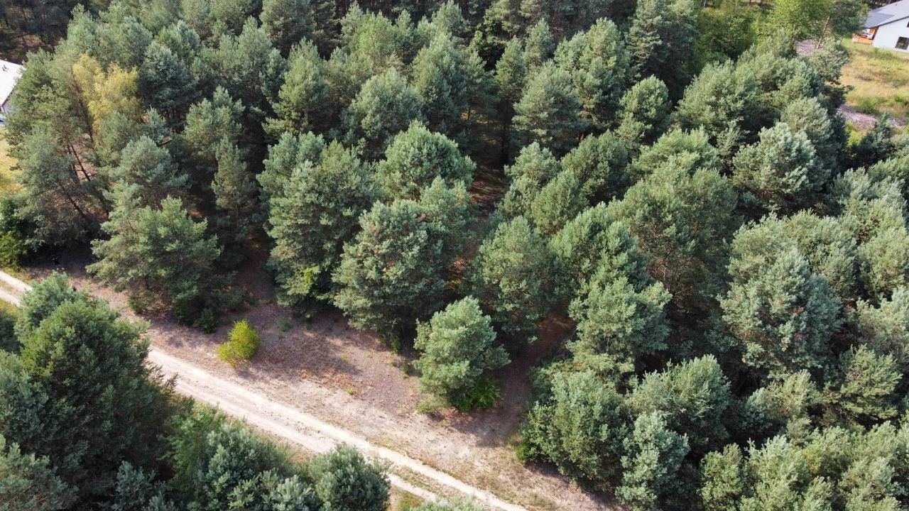Działka budowlana Władysławów. Zdjęcie 7