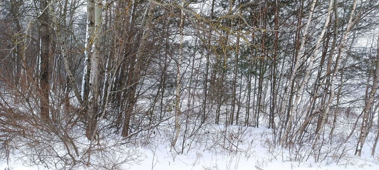 Działka rolna Księstwo. Zdjęcie 2