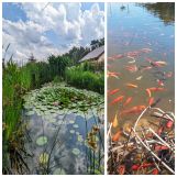 dom wolnostojący Słonin. Zdjęcie 2