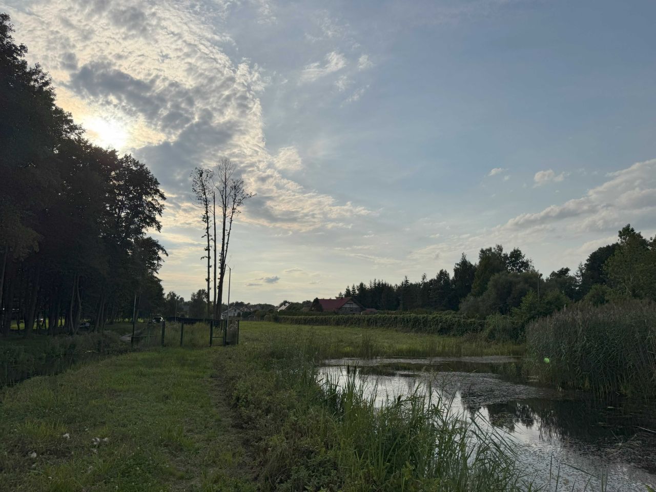 Działka budowlana Wierzbica. Zdjęcie 7