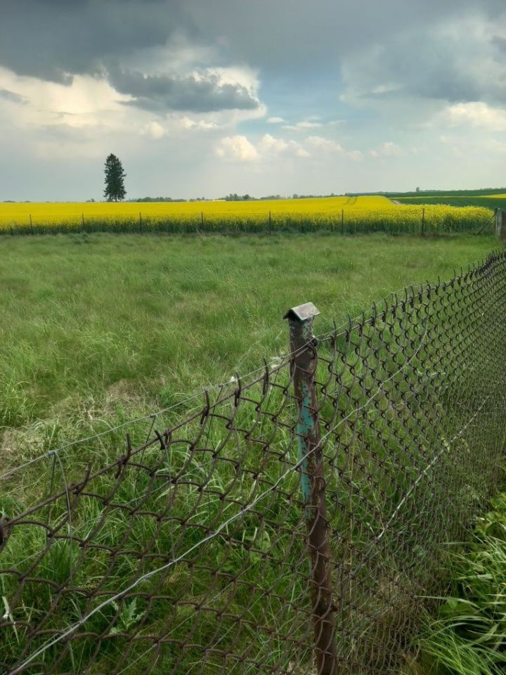 Działka budowlana Mościska. Zdjęcie 3
