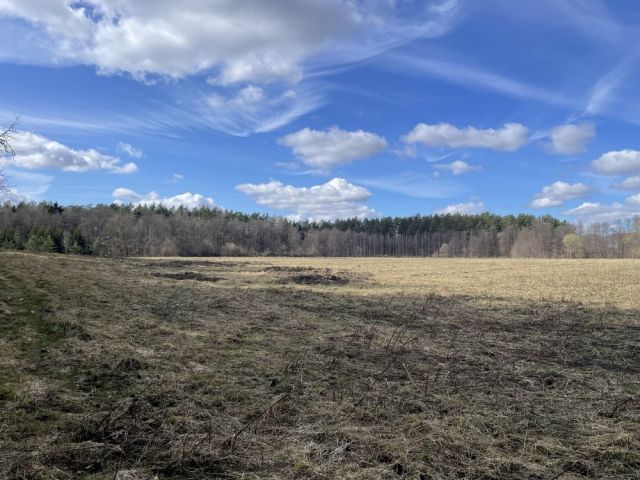 Działka budowlana Kabikiejmy Dolne. Zdjęcie 1