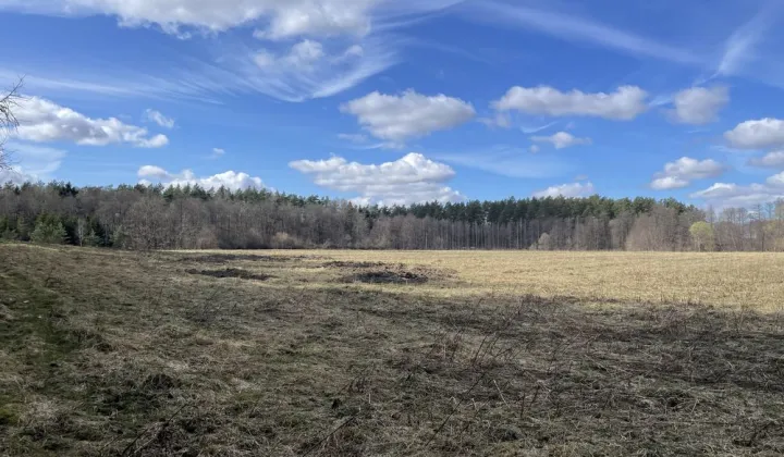 Działka budowlana Kabikiejmy Dolne