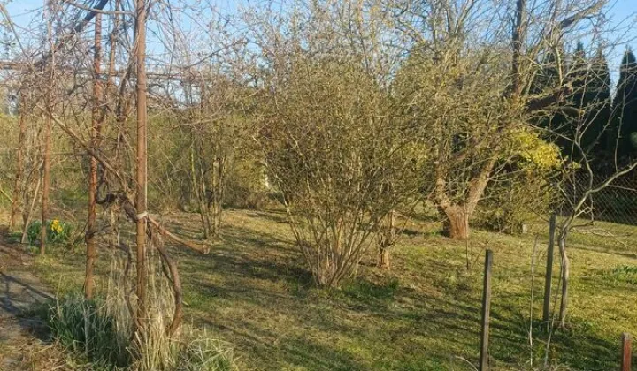 Działka rod Gorzów Wielkopolski Śródmieście, ul. Szpitalna