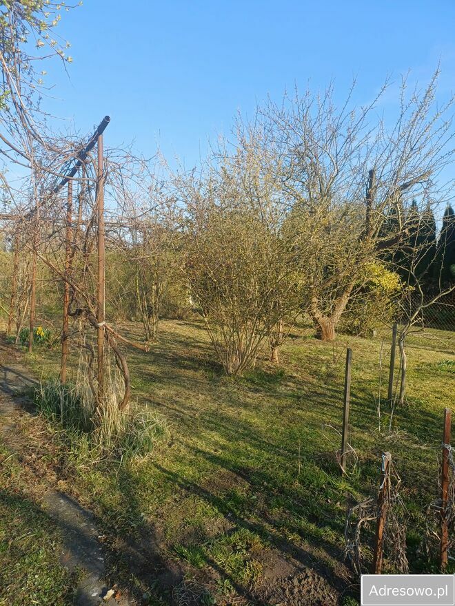 Działka rod Gorzów Wielkopolski Śródmieście, ul. Szpitalna. Zdjęcie 1
