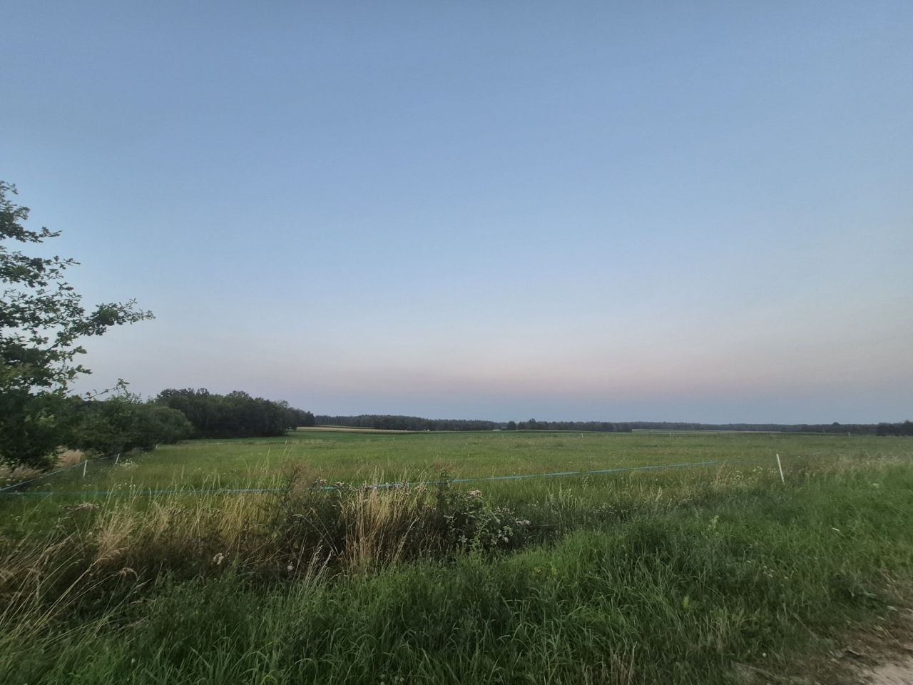Działka rolna Zanie. Zdjęcie 5