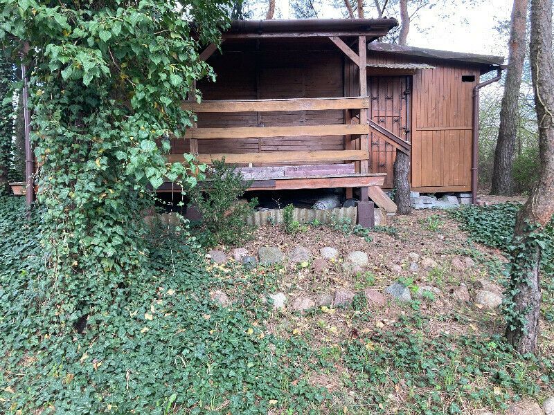 Działka rod Ząbki, ul. Wolności. Zdjęcie 7