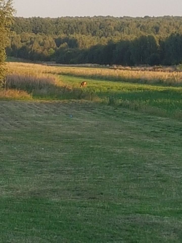 Działka rolna Częstochowa Wyczerpy Górne, ul. Rędzińska. Zdjęcie 2