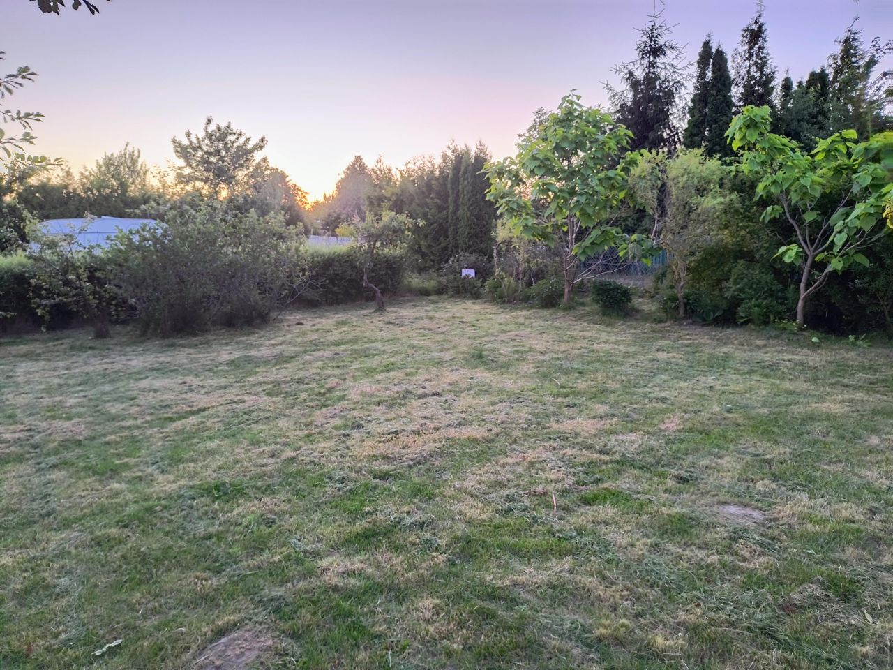 Działka rod Gdańsk Rębiechowo, ul. Nowatorów. Zdjęcie 8