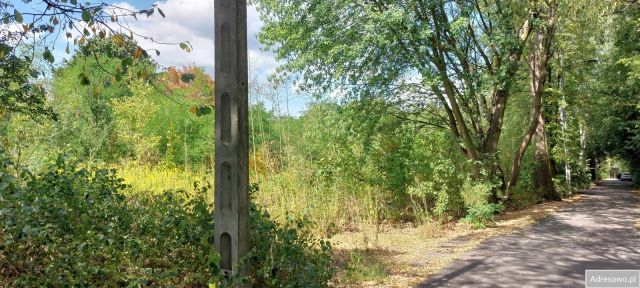 Działka budowlana Warszawa Wawer, ul. Kwitnącej Akacji. Zdjęcie 1