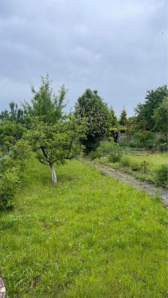 Działka rod Głogów, ul. Kwiatowa. Zdjęcie 4