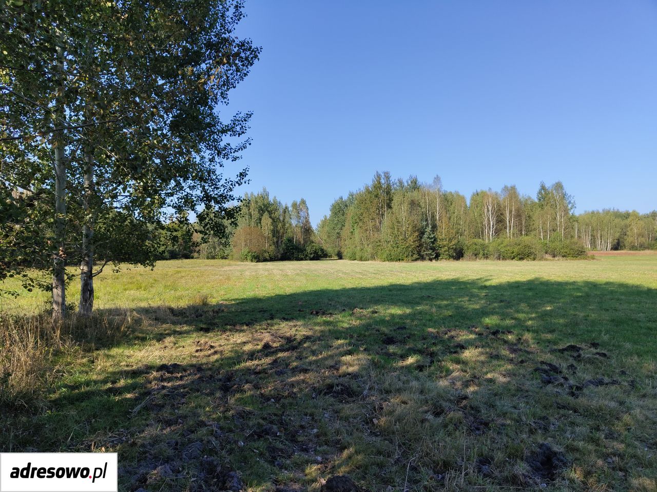 Działka rolno-budowlana Kucębów Kucębów Dolny. Zdjęcie 7