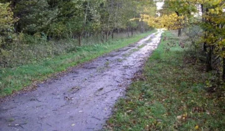 Działka budowlana Bądzyń, ul. Zbigniewa