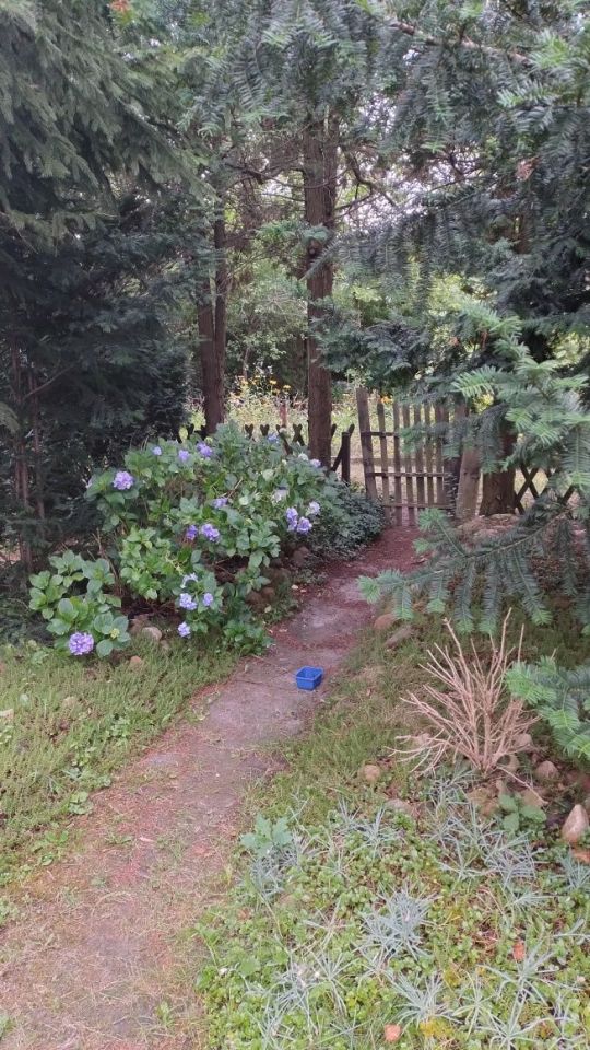 Działka rod Łódź Śródmieście, ul. Przędzalniana. Zdjęcie 8