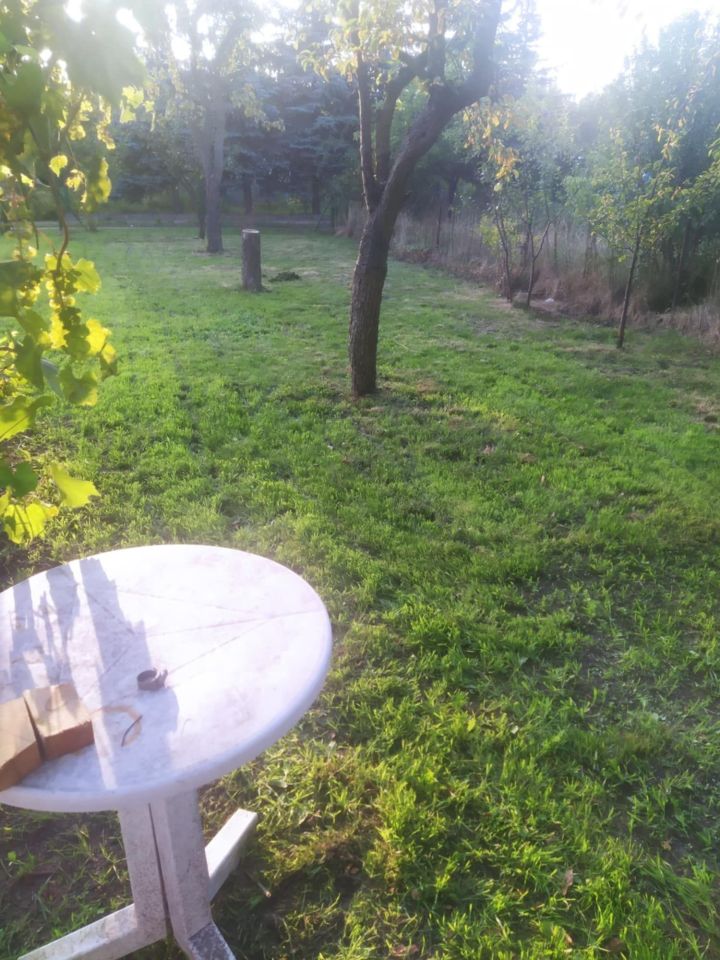 Działka rod Leszno Zatorze, ul. Spółdzielcza. Zdjęcie 6