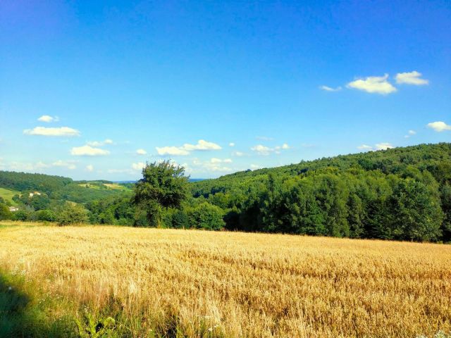 Działka budowlana Pstrągowa Wola. Zdjęcie 1