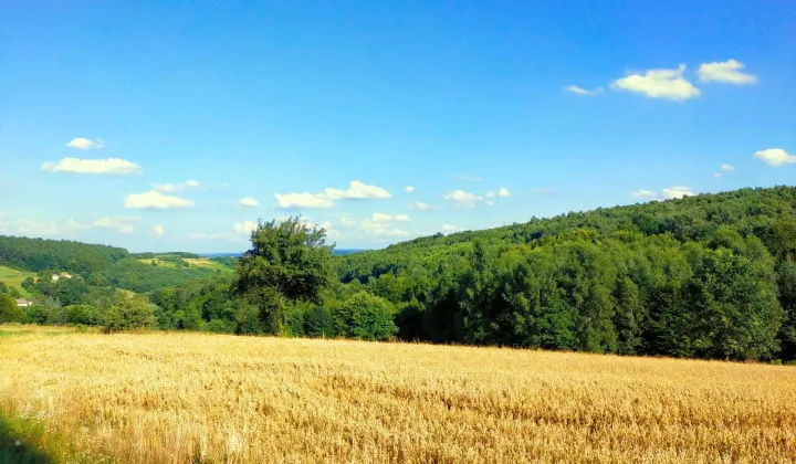 Działka budowlana Pstrągowa Wola