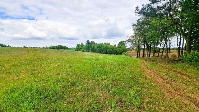 Działka budowlana Dąbrówka Wielka. Zdjęcie 5