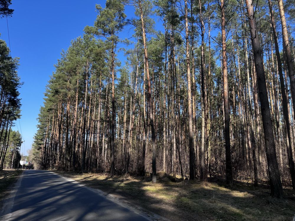 Działka inwestycyjna Maszkowo. Zdjęcie 3