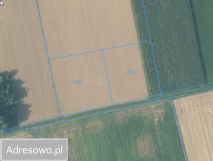 Działka siedliskowa Wesołów. Zdjęcie 2