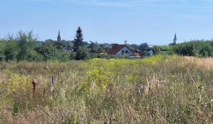 Działka budowlana Poniec