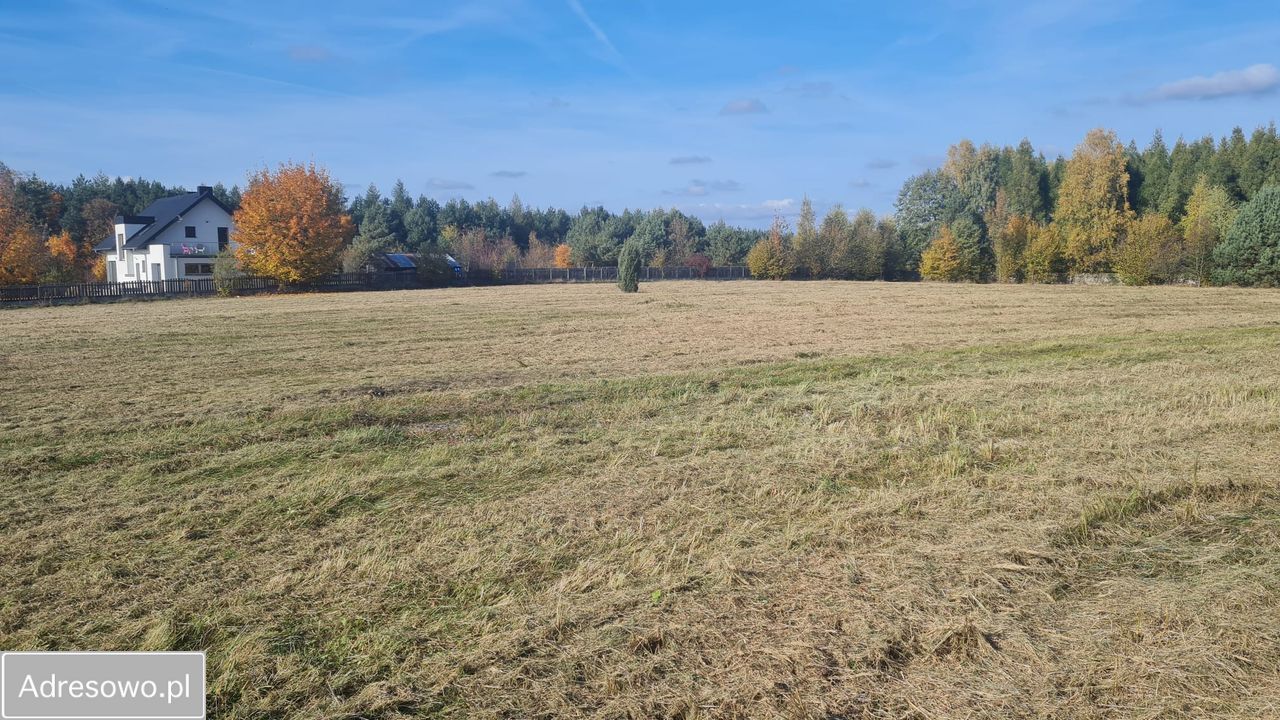 Działka budowlana Choroń. Zdjęcie 14