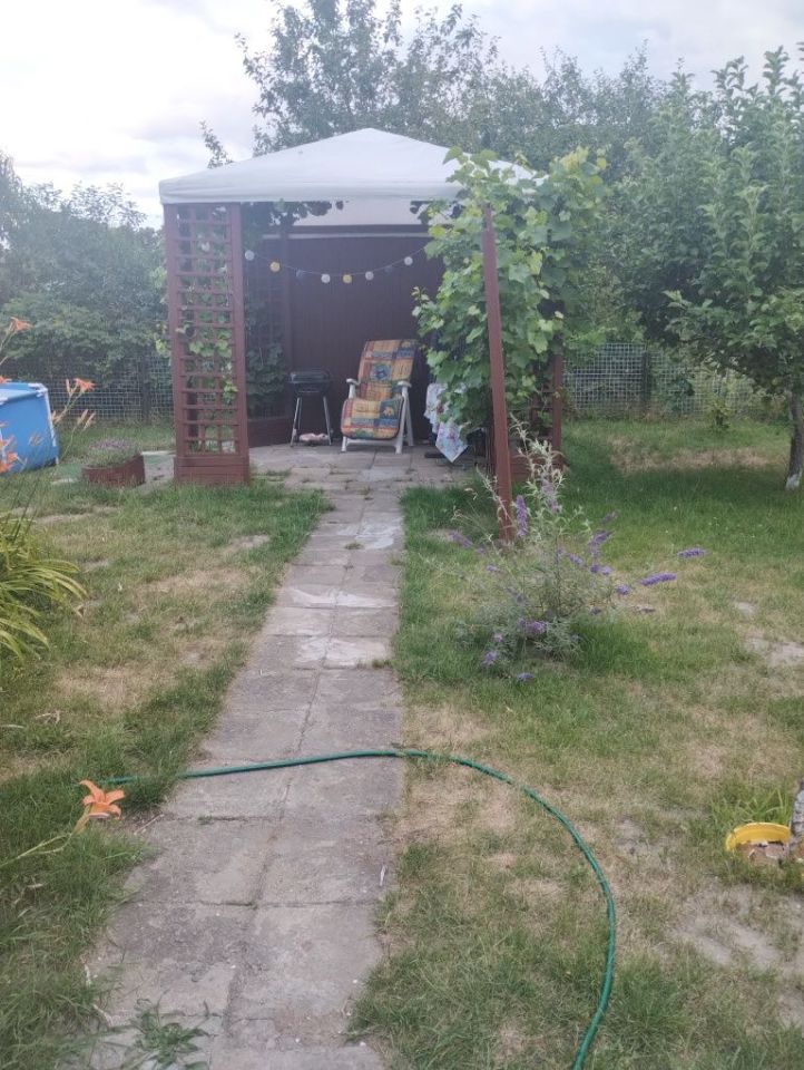 Działka rod Wolsztyn. Zdjęcie 5