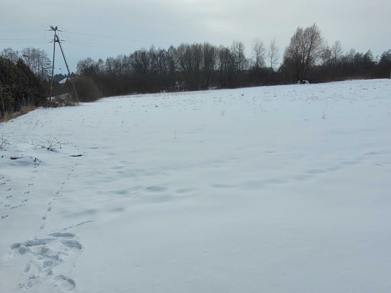 Działka budowlana Puchaczów, ul. Stefana Skoczylasa. Zdjęcie 3