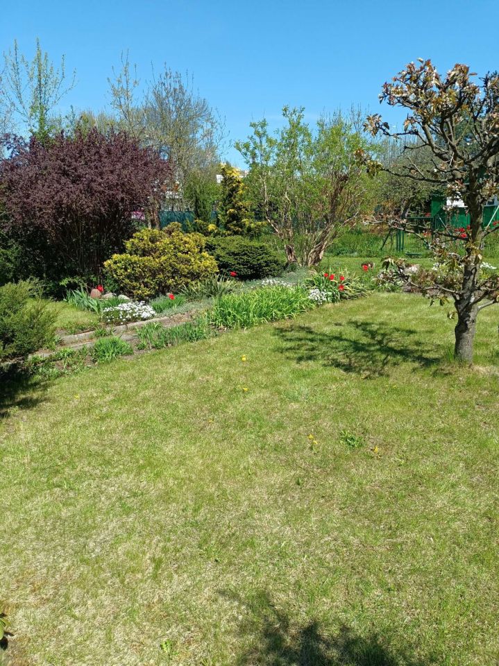 Działka rod Łódź Górna. Zdjęcie 3