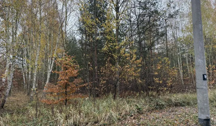 Działka budowlana Nowiny