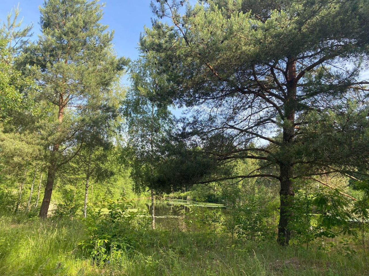 Działka budowlana Janinów, ul. Kolumbijska. Zdjęcie 3