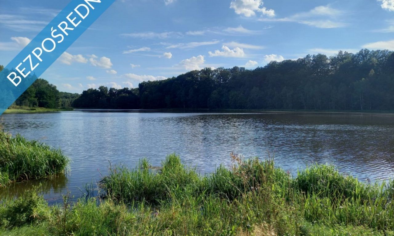 Lokal Osiecznica. Zdjęcie 3