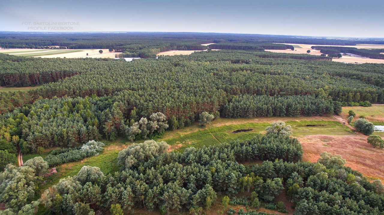 Działka rolna Mosina. Zdjęcie 6