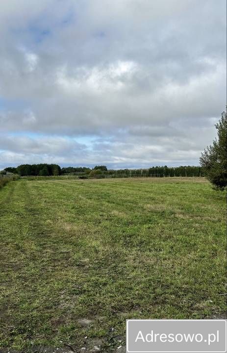 Działka budowlana Całowanie. Zdjęcie 7