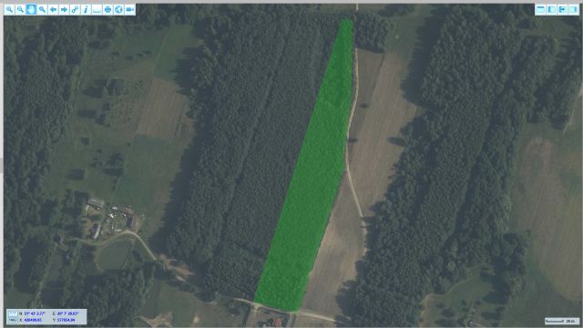 Działka leśna Nowe Byliny. Zdjęcie 1